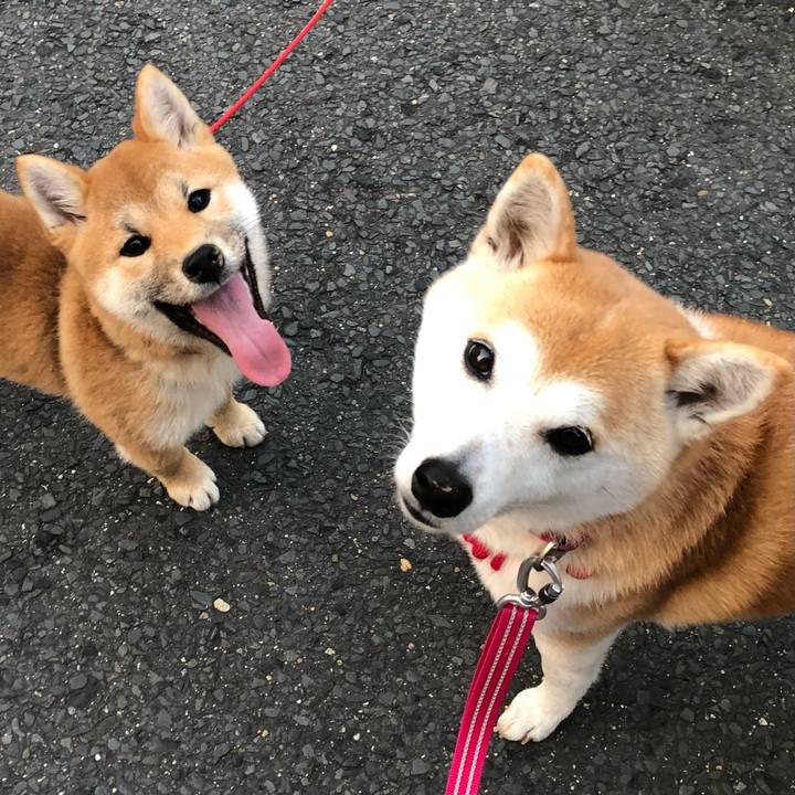 B40da29e ef8a 4610 9572 0e5e430ec847 1647080327300