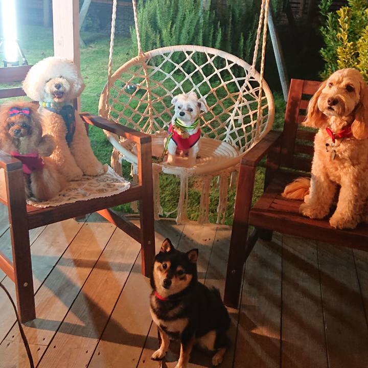 B40dfac0 7cc2 4130 8acd 68423ce0f4f7 1600087764556