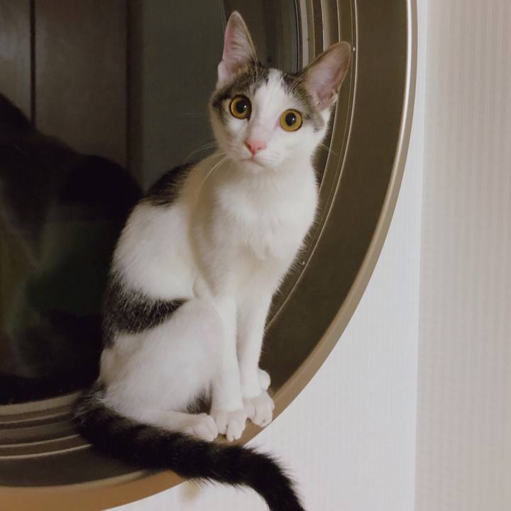 B40e30d6 76ab 44f5 b217 2851a710c3c2 1572612853277