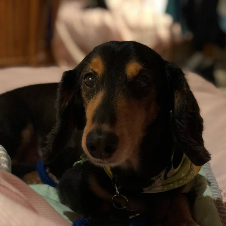 B40e3844 ebe7 4f81 a117 a2ba290c1845 1534165816343