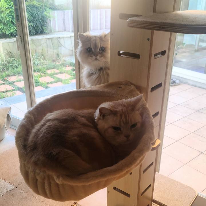 B40e5ef0 28f6 4019 8ec5 f9a8a7cac7d7 1682544099694