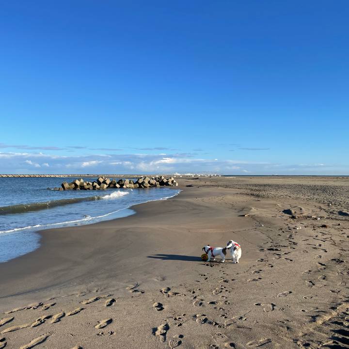 B40e65e3 90dc 4477 b398 e49f0ed74a75 1667172602148