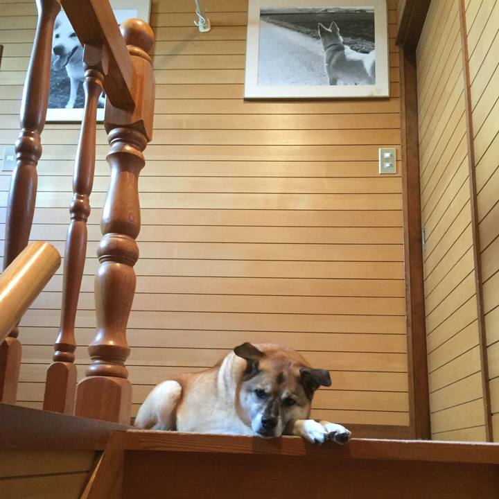 B40e8416 3d1a 42b9 9bc8 3e72308ed6b5 1539566828659