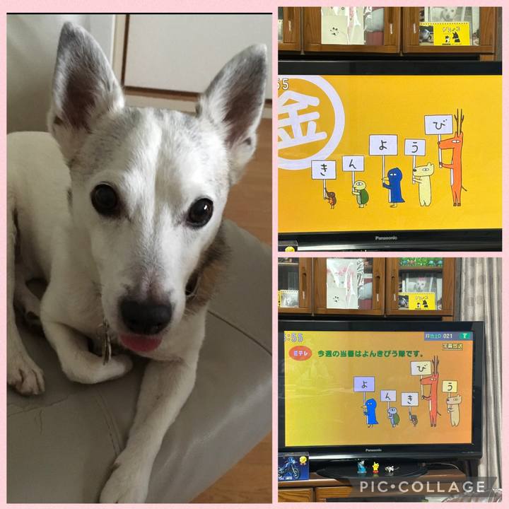 B40eb75c 7077 4474 afda e36272c77be5 1763675906128