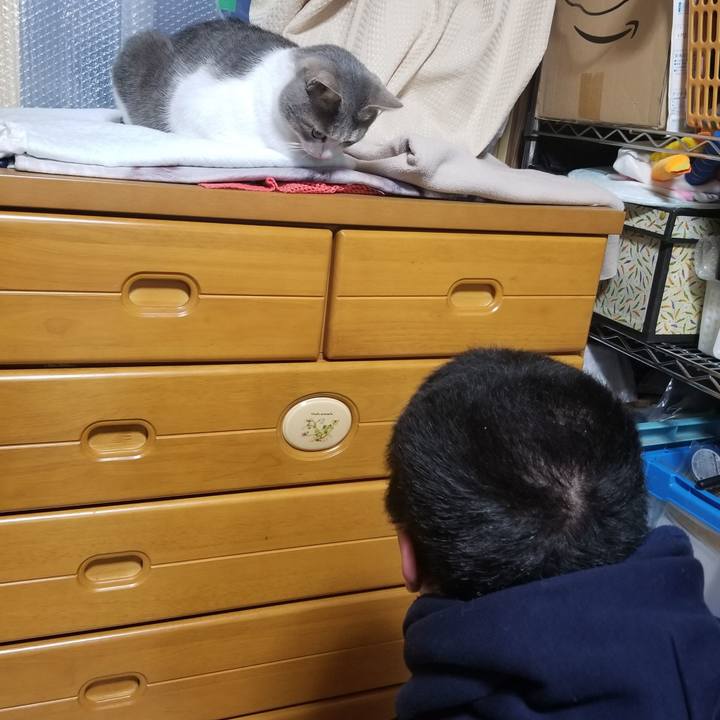 B40ed69c b1f0 4103 bd03 769785119aa2 1615271366847