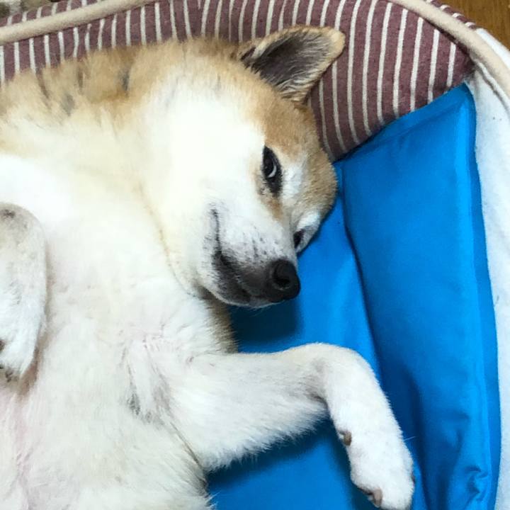 B40ede58 012d 4f10 a2be d0bf4fa209e9 1597475781321