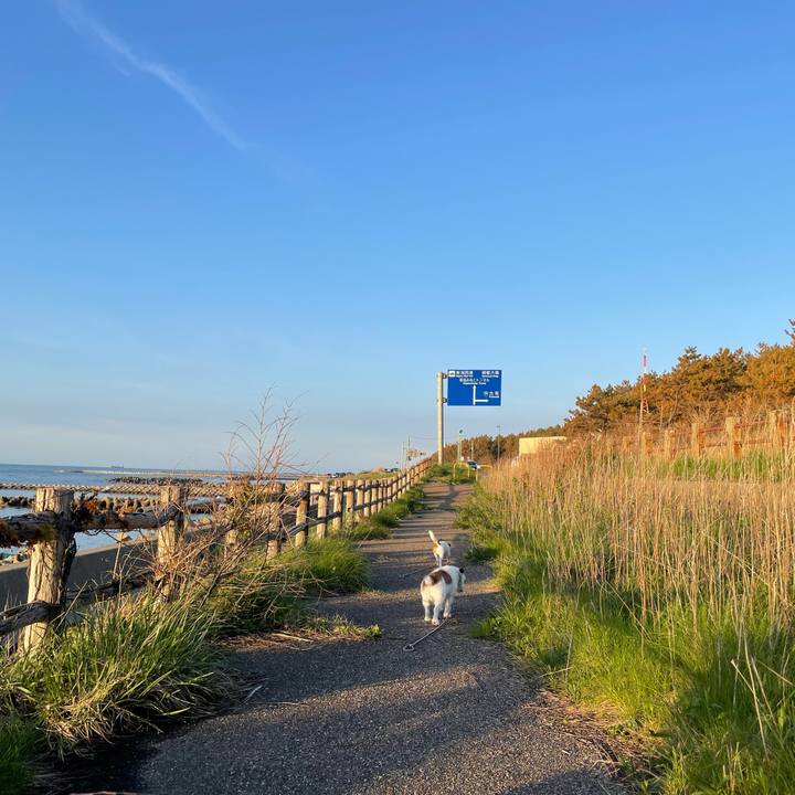 B40ef1b6 fab7 4143 84b8 681a091138a2 1650707084493