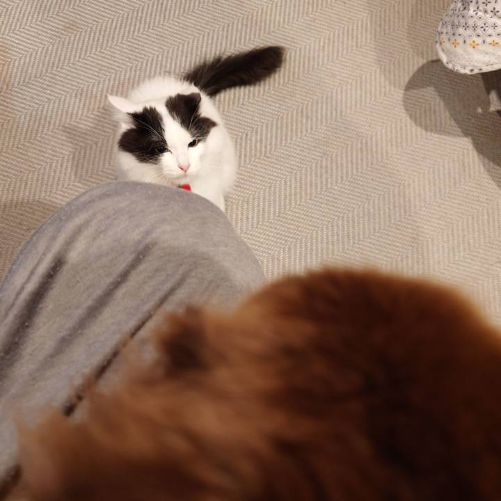 B40f32f0 8222 4791 9f8d b4d309002cf5 1764503651976