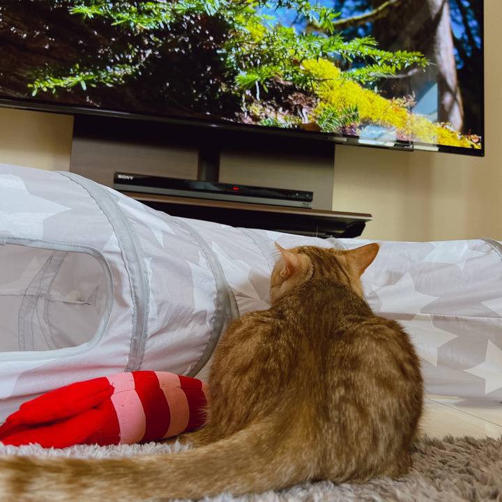 B40f4b22 3e2a 4953 b751 a100b324b121 1652569195720