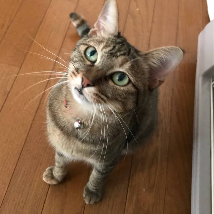 B40f6a2f 4e41 4f5d 9346 81efd05135e7 1597491402399