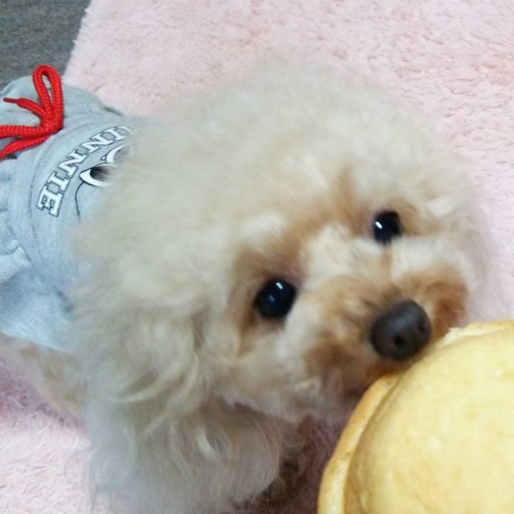 B40f73cf baf8 447d aa60 6ed99e9c902e 1539766392534