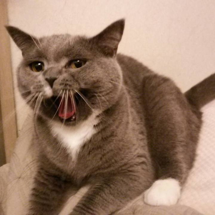 B40f779c 3c57 4f22 857f 2a8e533683f1 1569014996882