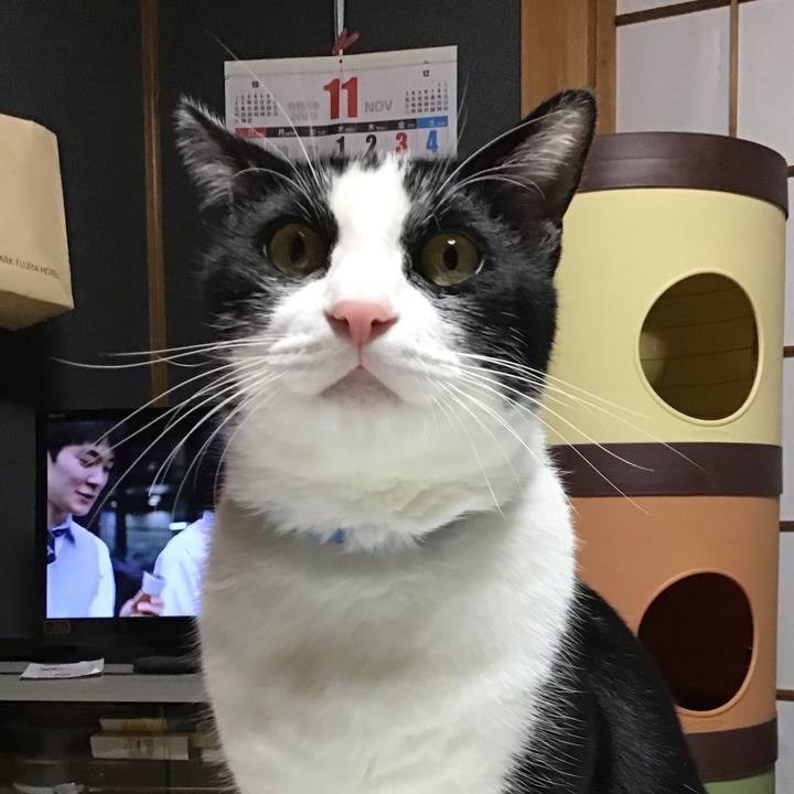 B40f79d1 c970 4b3c 84ae f460074f9677 1699013736226