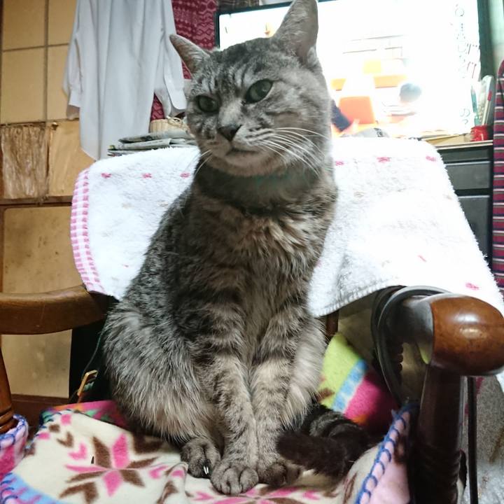 B40faa44 f6eb 4a89 a451 aa333ddaa5d9 1575975957472