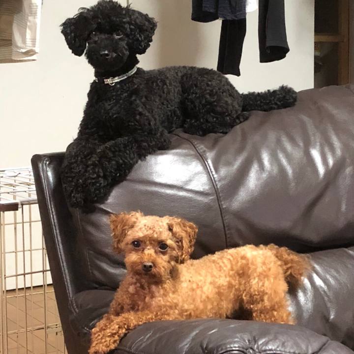 B40faf3d d215 461b a1e6 1c8a8215d8a3 1533768568636