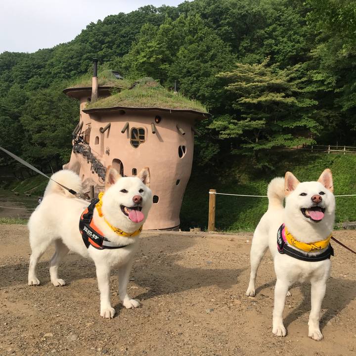 B40fb996 97dd 44d3 af7c 42f7ff831258 1558876769198