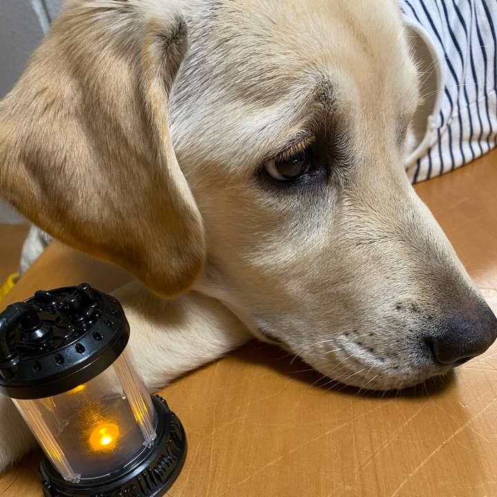 B40fcfcc 25af 4e9d be6a fecf0b4eb04e 1619335525540