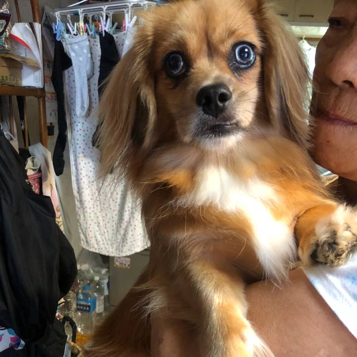 B40fe5cd 1cfc 4f2a 8f86 e912dfb441e2 1535840496369