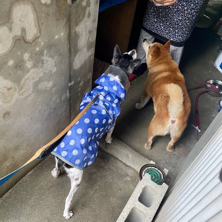 B40fe8d7 05e1 4a09 8c82 eb6db2595126 1631318579618