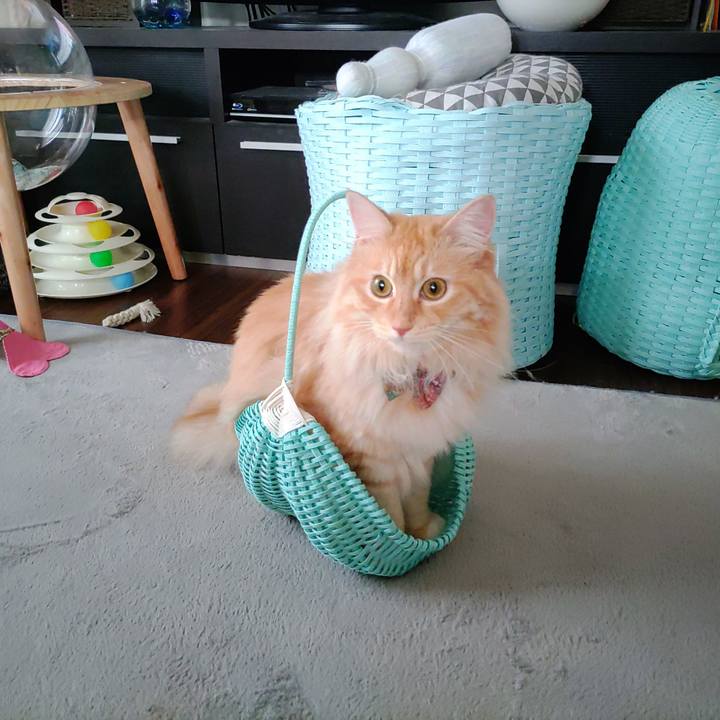 B4101f3f 2d44 4452 a45d 24ef4a40d2d2 1656971790857