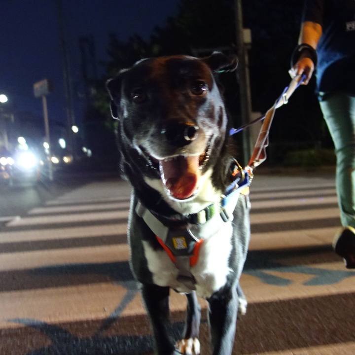 B4102bd6 2fda 401c a2ef d80c454719ed 1714130335478