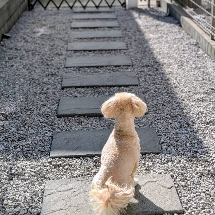 B4103b1a 6a33 4d41 8f63 1fd5c69c777c 1771160672530