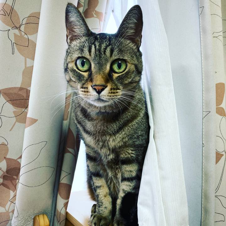 B41083c7 4f41 4457 9940 6a86f993b73f 1570351004187