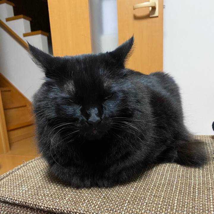 B41093c2 3081 42de b686 ba072bb351b4 1604827026638