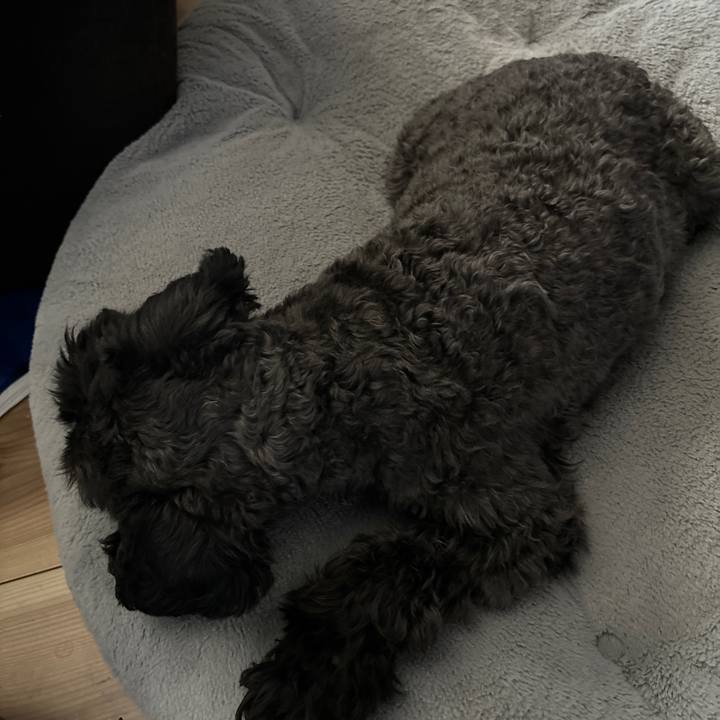 B41099e7 b199 434a b2af 7665b0b094a3 1710552396800