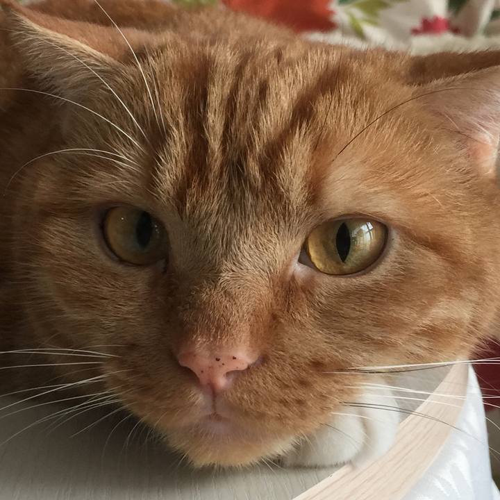 B411004b e88f 44c5 9779 8575a6846a19 1566619018468