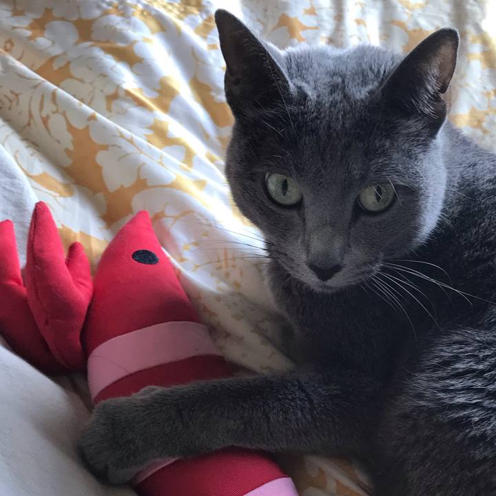 B4115b28 b06d 4d05 a996 0cea2987c467 1648699181744