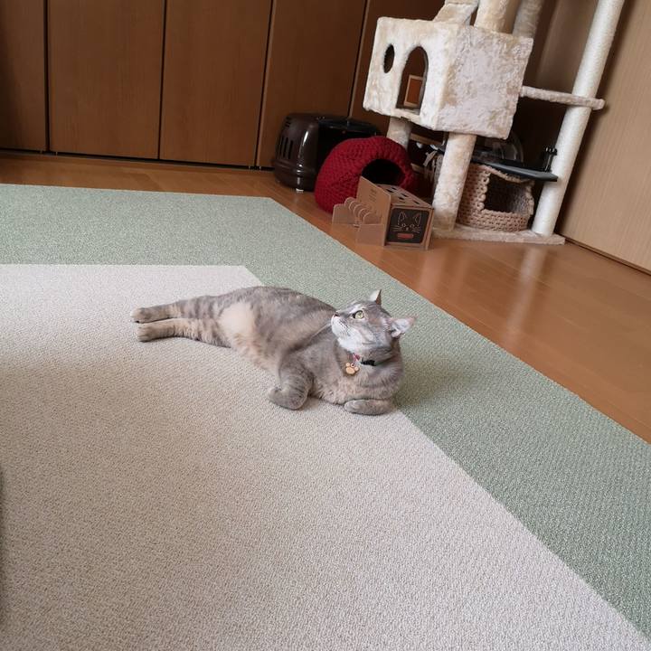 B4115eb6 2268 4fcf b1e9 3b40bfb8877e 1582187174813