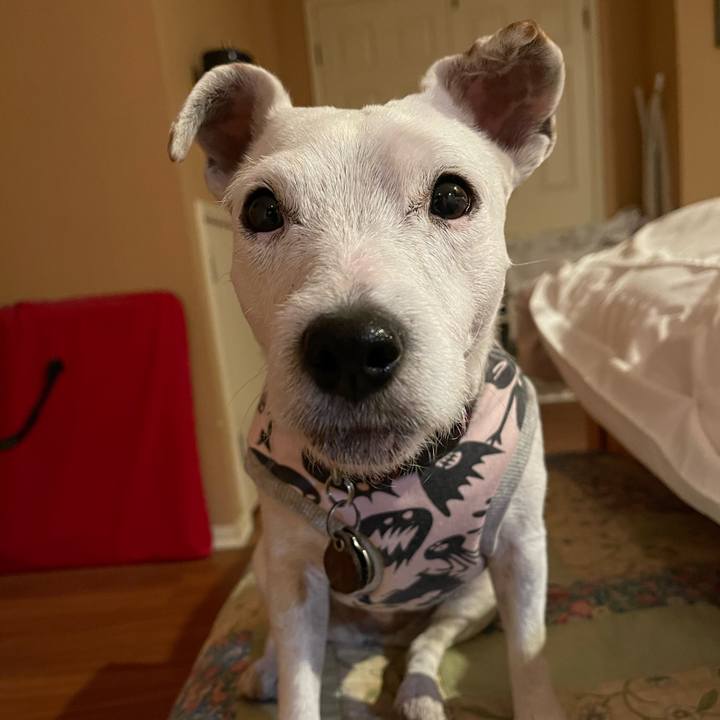 B41170f4 1132 4b73 988b fa79e2214415 1644240631292