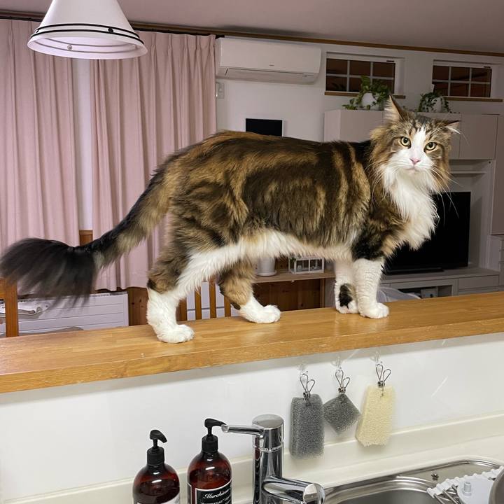 B411ee2c 7b71 42b5 8278 9422c0d40f59 1695412276758