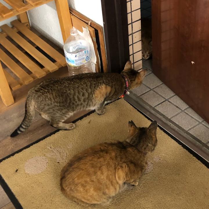 B412547f f127 4c1c ba01 5c979f0aef2c 1614163030970