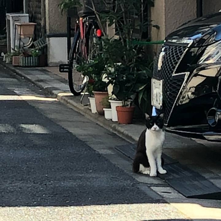 B41279bb 97de 46bf 9b84 4a25d6f1deab 1593519266294