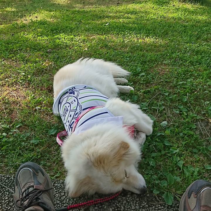 B412991e 1e66 42d0 b4b2 d690ef468584 1664347211477