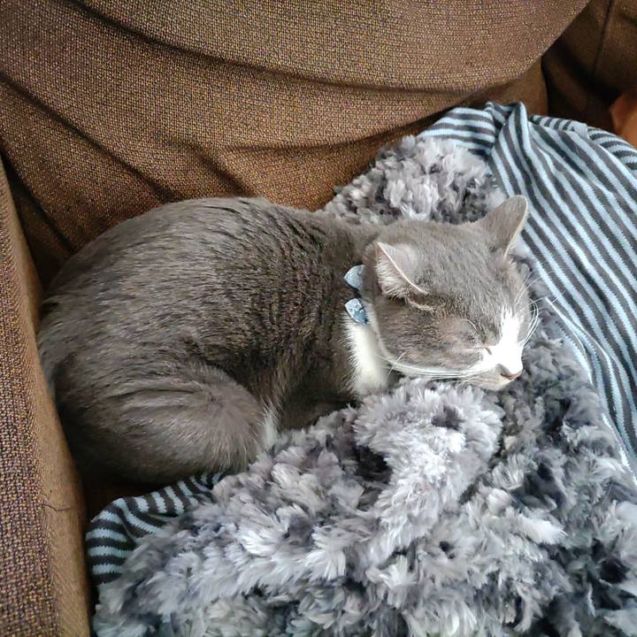 B412ae0c bba0 465f 9568 99e70ff86184 1670989179071