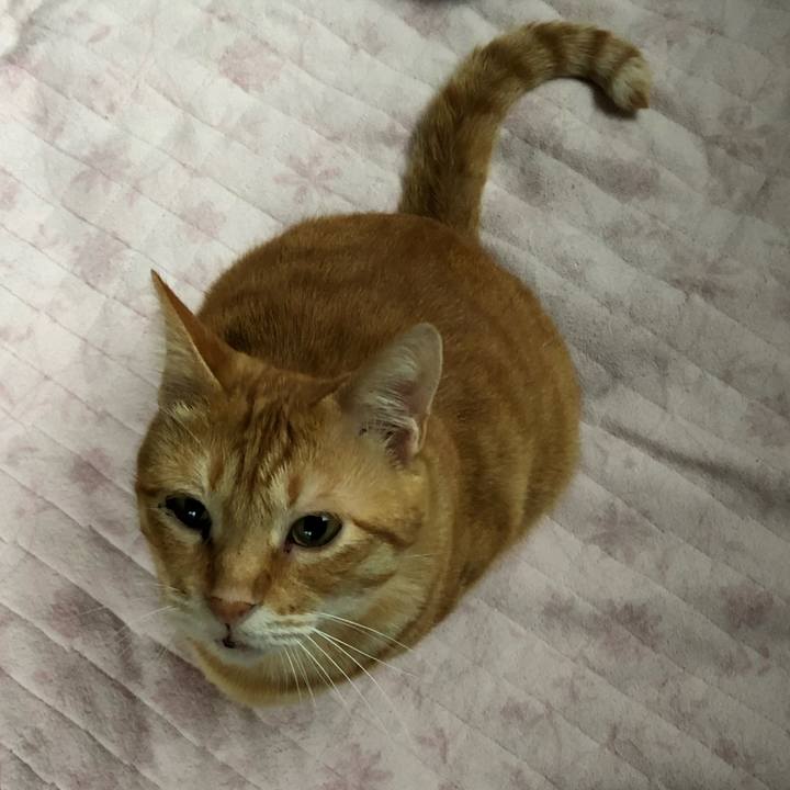 B412e645 df85 419b 9a58 20dceb537c5a 1562924656451