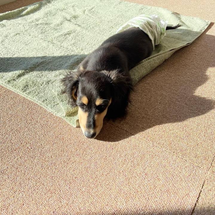 B412ec19 e71e 40be b08c 130a7eaf1da9 1670370800027