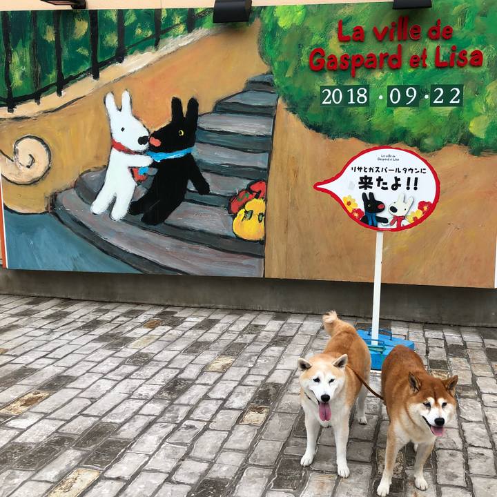 B413185e fadc 44f8 9f4f fde15e51b8ad 1537606405030