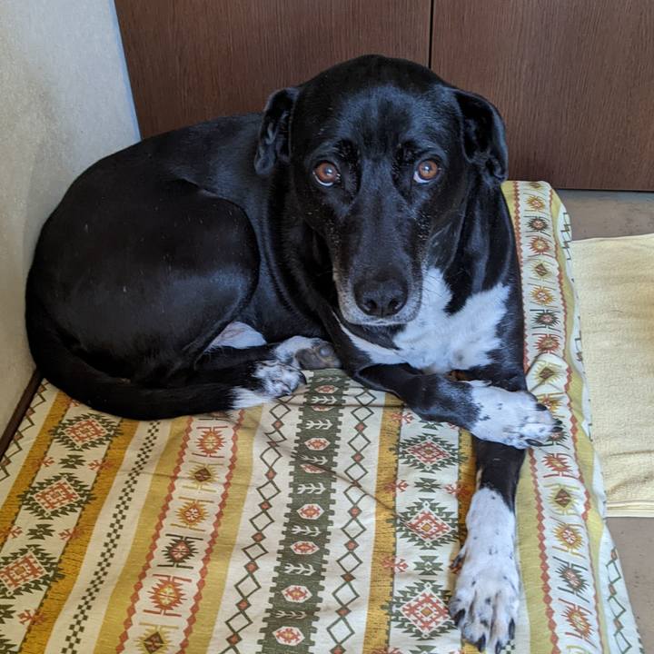 B41322e3 f353 46e6 8ba2 083e24aea675 1678964617071