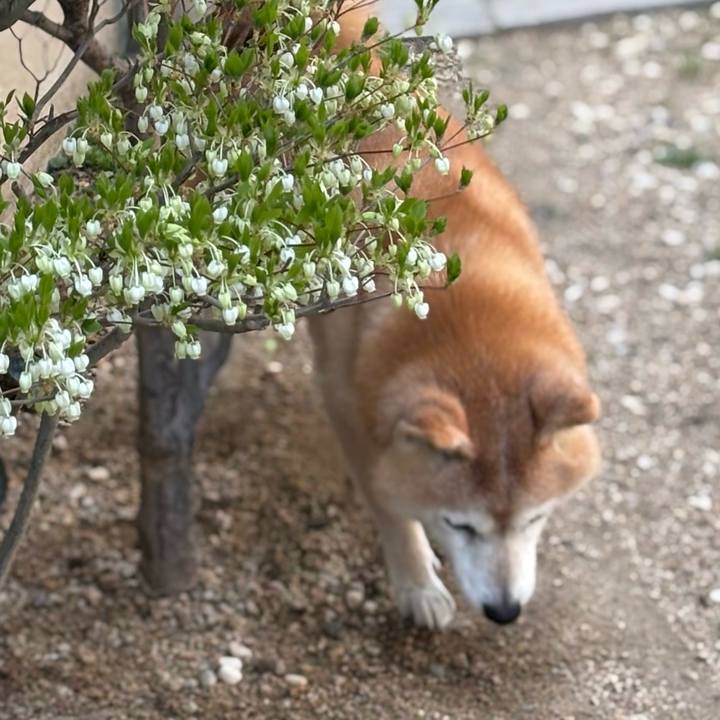 B4134f9a d5c2 4986 a99b ff354db06691 1744200019832