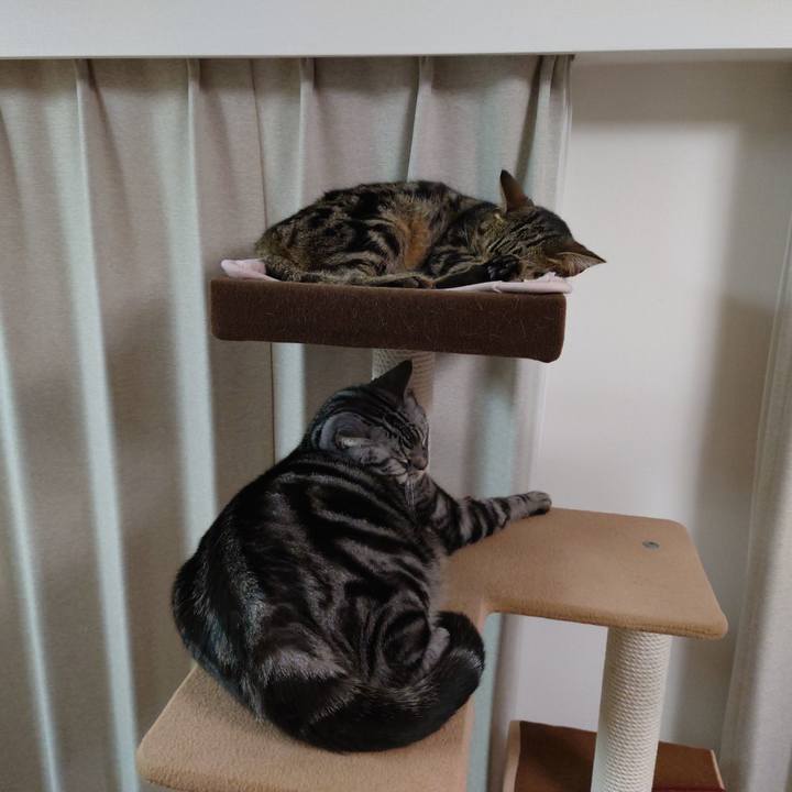 B4137ee6 82fe 4341 a409 39a9ea331421 1609329050651