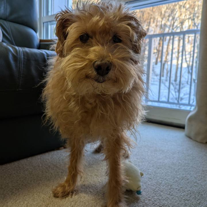 B4138a28 463f 43e0 8f0b b94b3c02de08 1739225642456