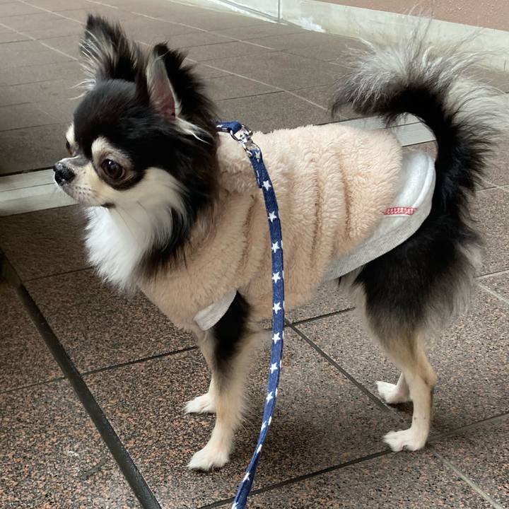 B413d723 d48b 4d19 9d6f a4b9ea8150e6 1645330342803