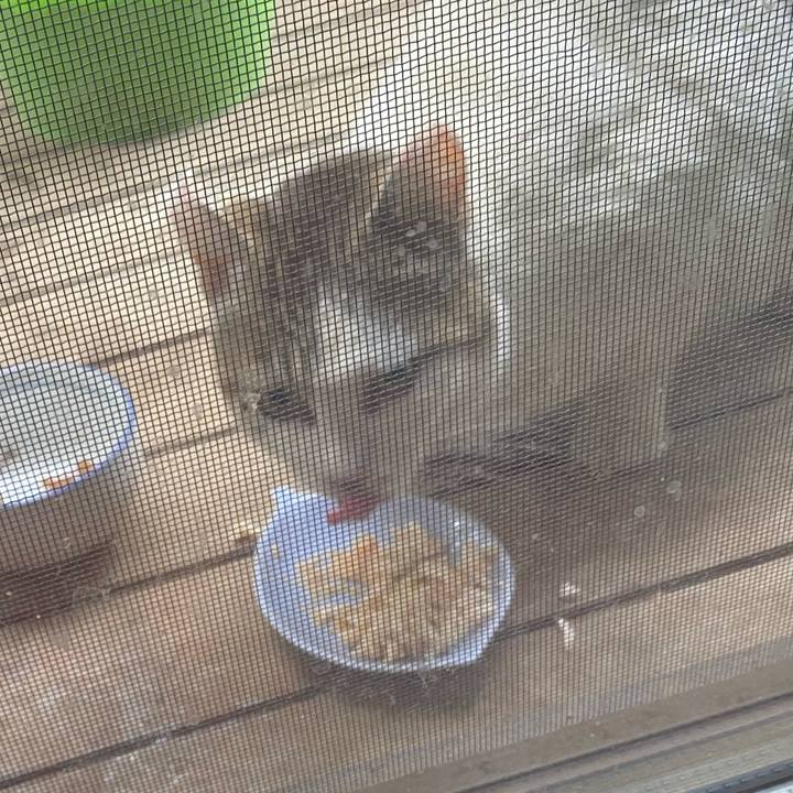 B413f11a fcd8 40fa b582 455eaf2a1c51 1683956703954