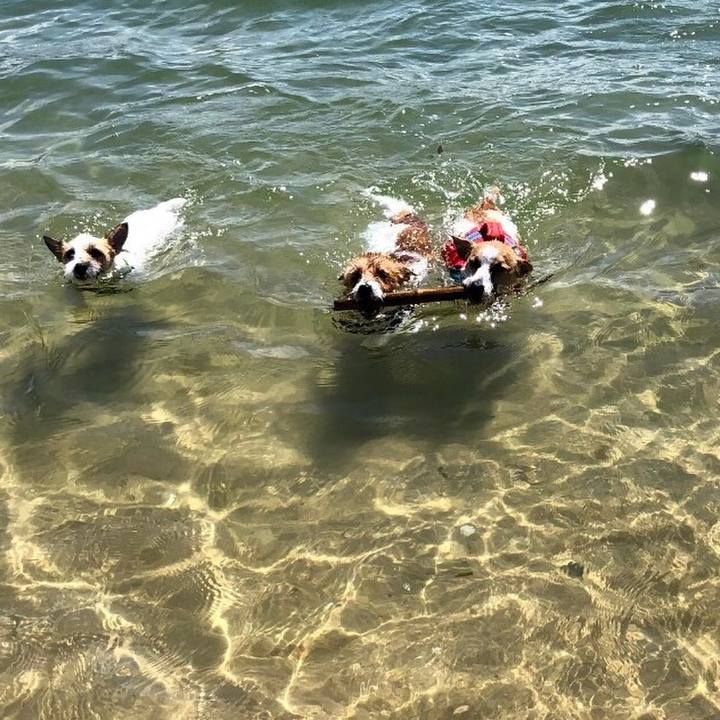 B41403e7 c108 4a73 b480 8653d3f7b151 1564315416245