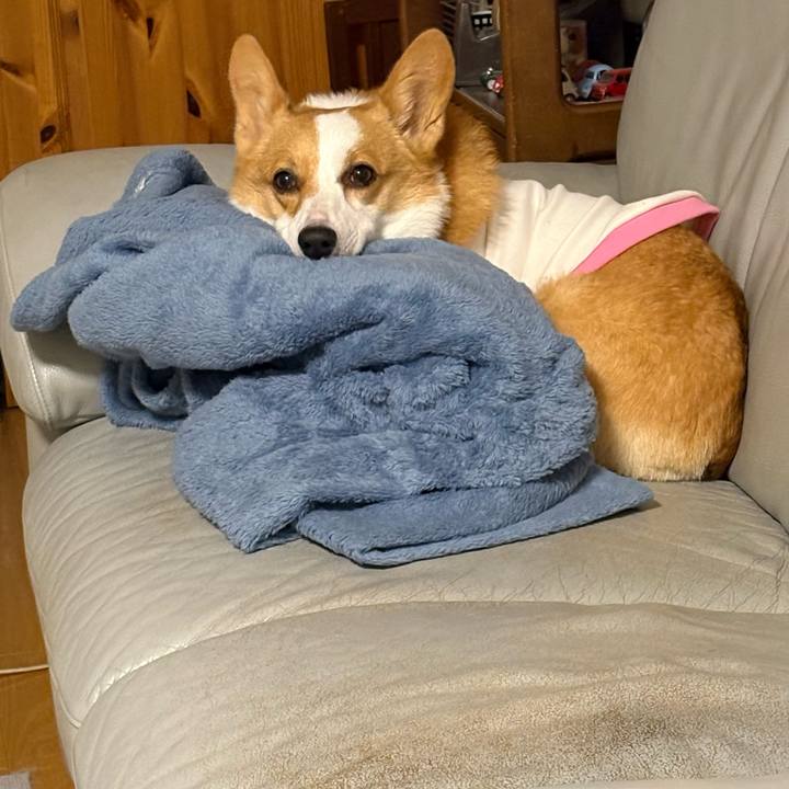 B41438c8 d2d8 4487 a472 87a778475888 1772380833290