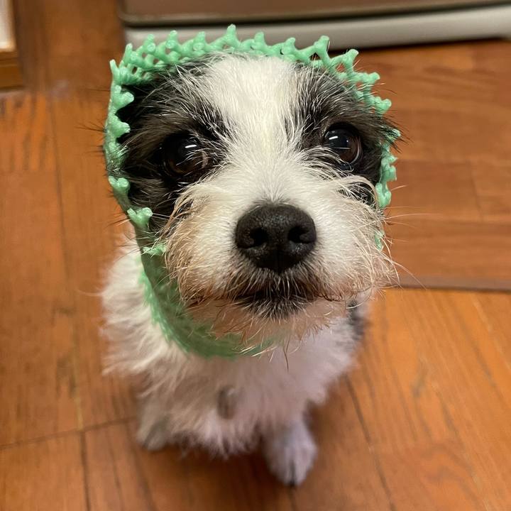 B4143b0c caac 4368 b521 96701c1067c2 1631881744801